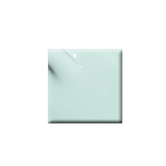 Colorbar Vegan Nail Lacquer