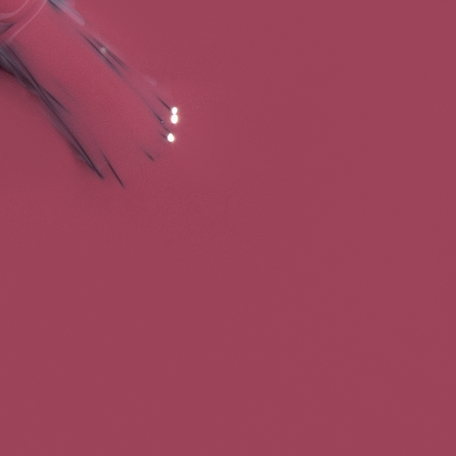 Colorbar Vegan Nail Lacquer