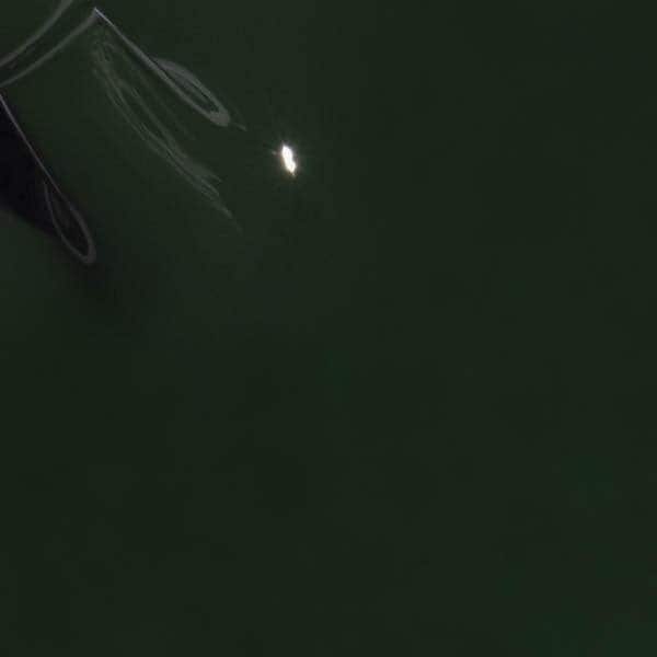 Colorbar Vegan Nail Lacquer