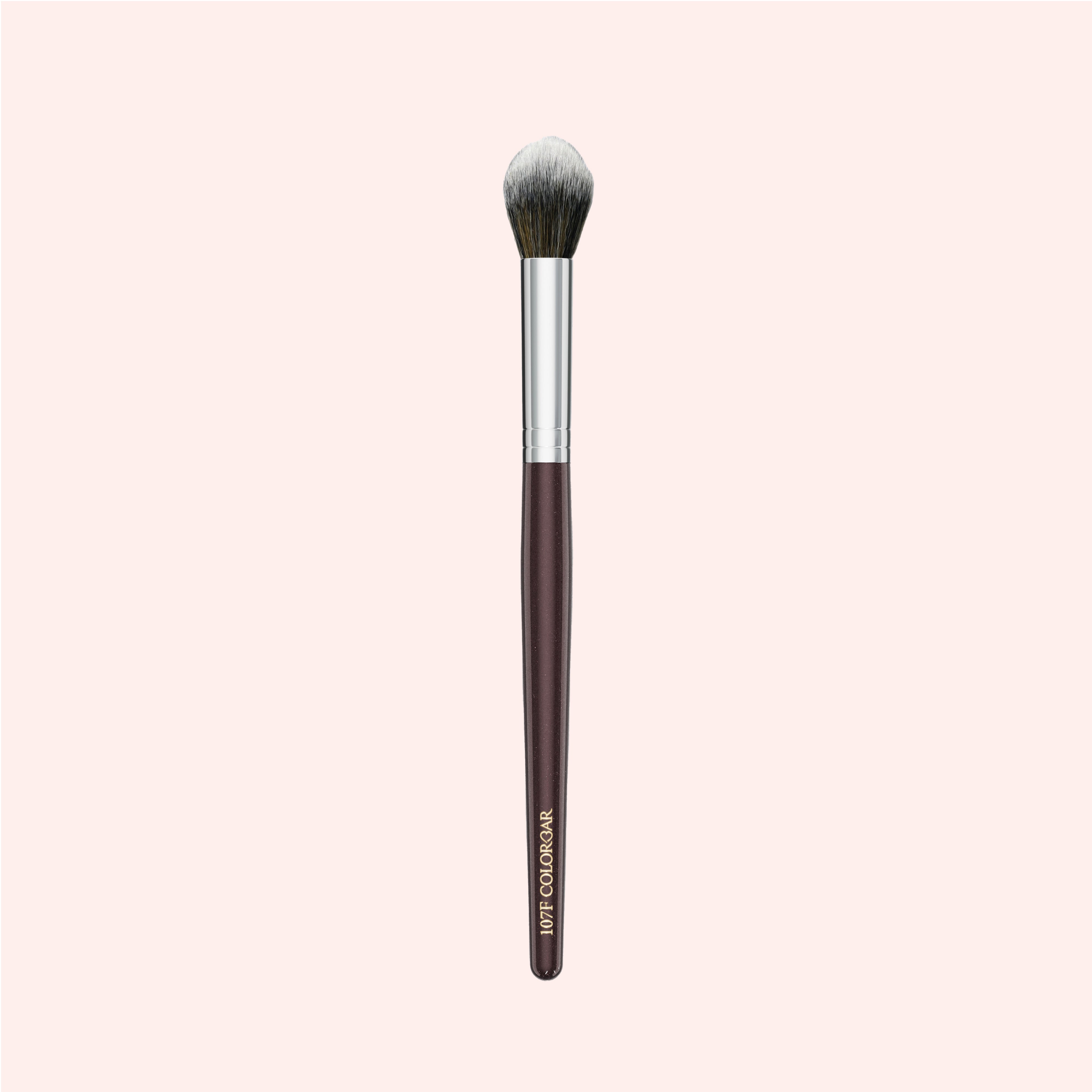 107F Highlighter & Powder Brush