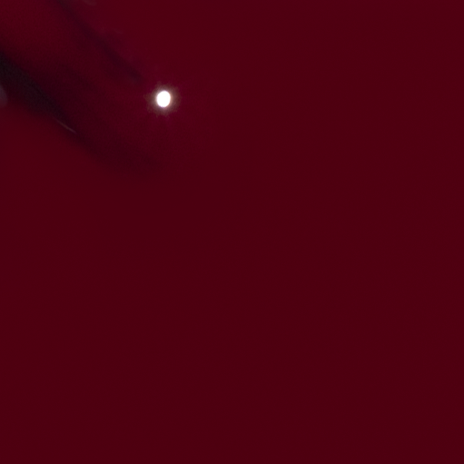 Colorbar Vegan Nail Lacquer