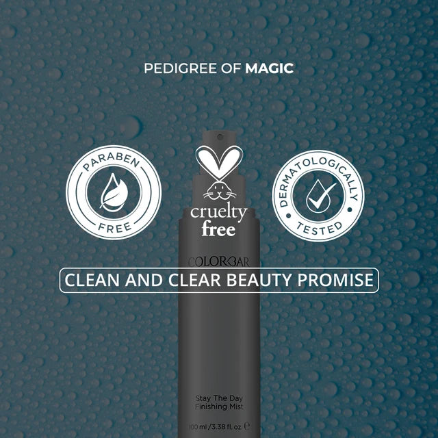 Stay The Day Finishing Mist